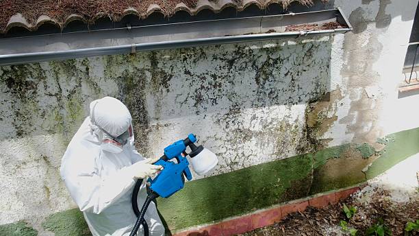 Trusted Commercial Mold Remediation service in East Brunswick, NJ - Cheap Mold Removal